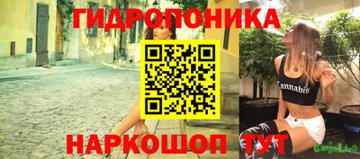 молекула духа Новодвинск