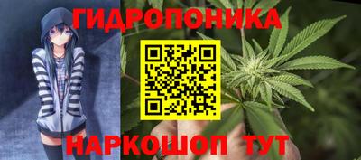 молекула духа Новодвинск