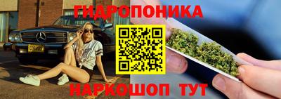 молекула духа Новодвинск