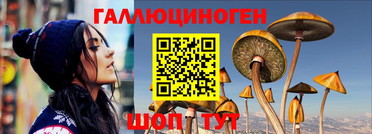 Галлюциногенные грибы Cubensis  Вход с VPN  Самара  Псилоцибиновые грибы Cubensis 